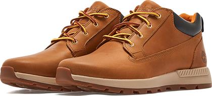 LOW LACE UP SNEAKER TB0A2JAC2311 - 02622 TIMBERLAND